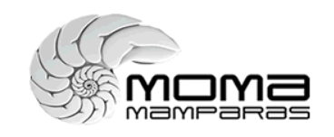 Logo- Moma